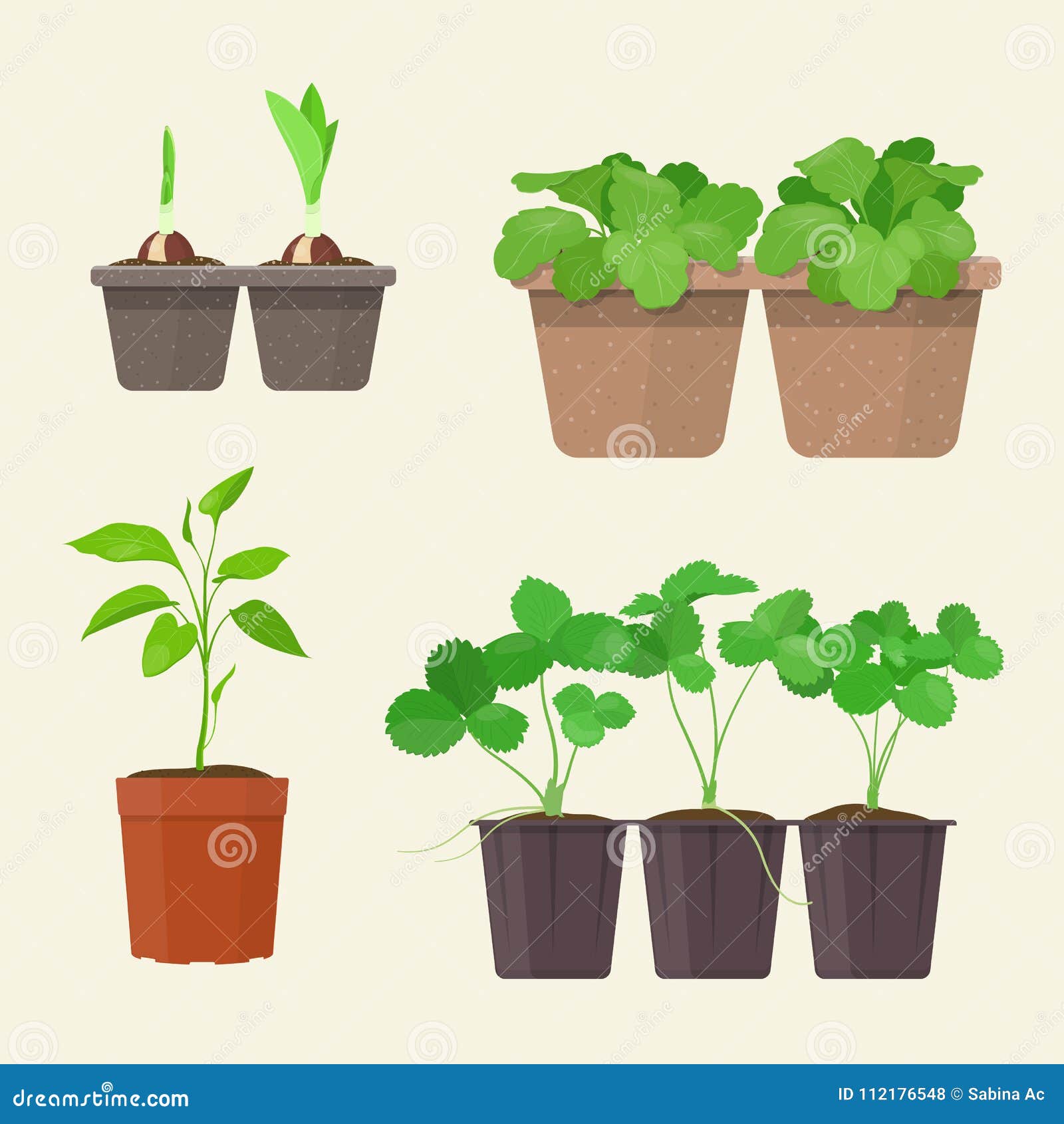 Seedlings in Plastic and Biodegradable Peat Pots Stock Vector