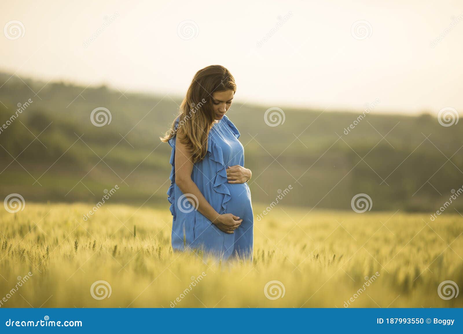 Young Pregnant Woman in the Field Stock Photo - Image of expecting ...
