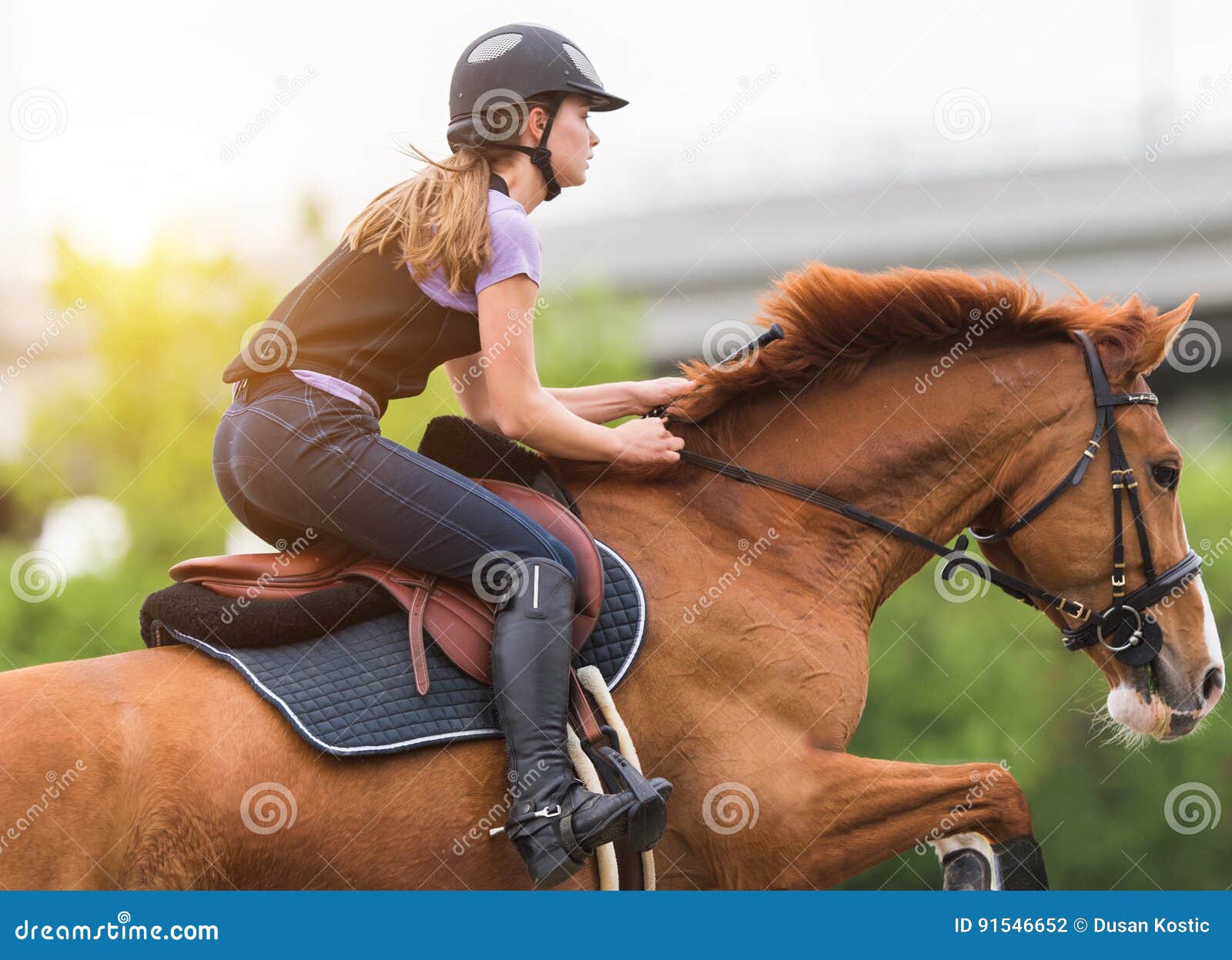 young pretty girl riding a horse with backlit leaves behind in s