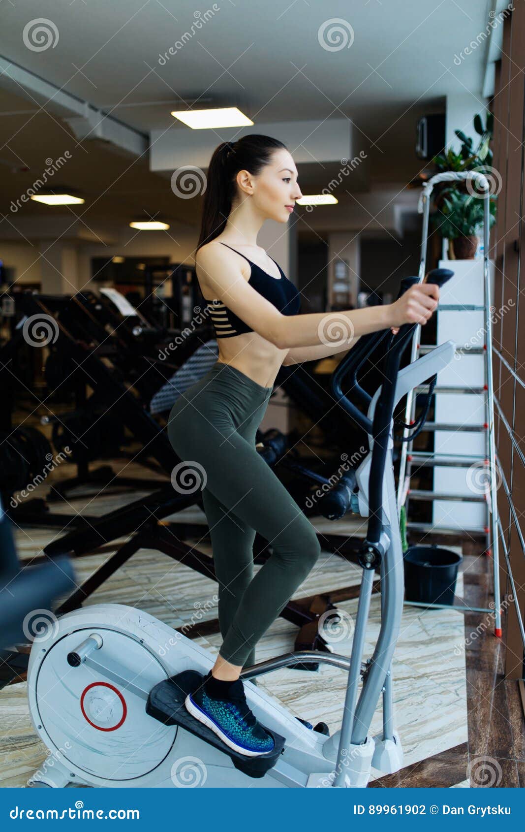 Young Pretty Woman Riding on a Bicycle Gym Fitness Stock Photo Image