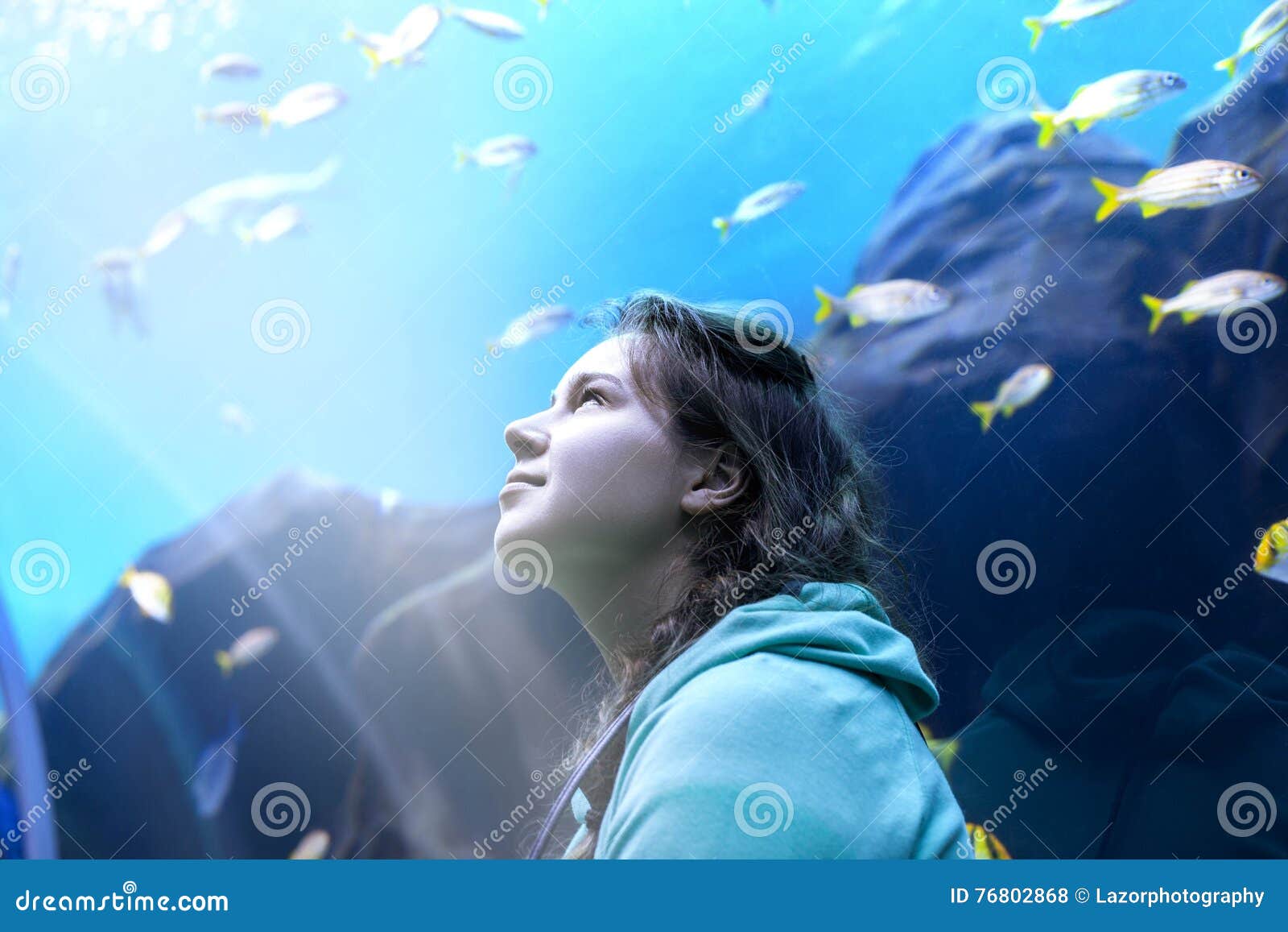 Young Pretty Woman Watching Fishes in a Tropical Aquarium Stock Photo