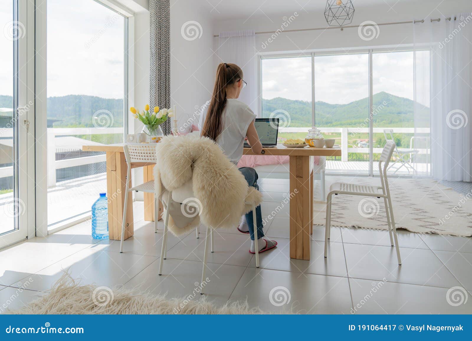 office picture manager portable office picture manager portable