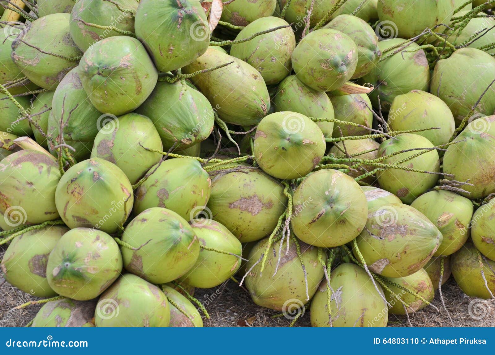 Young raw coconut heap stock photo. Image of pile, asia 64803110
