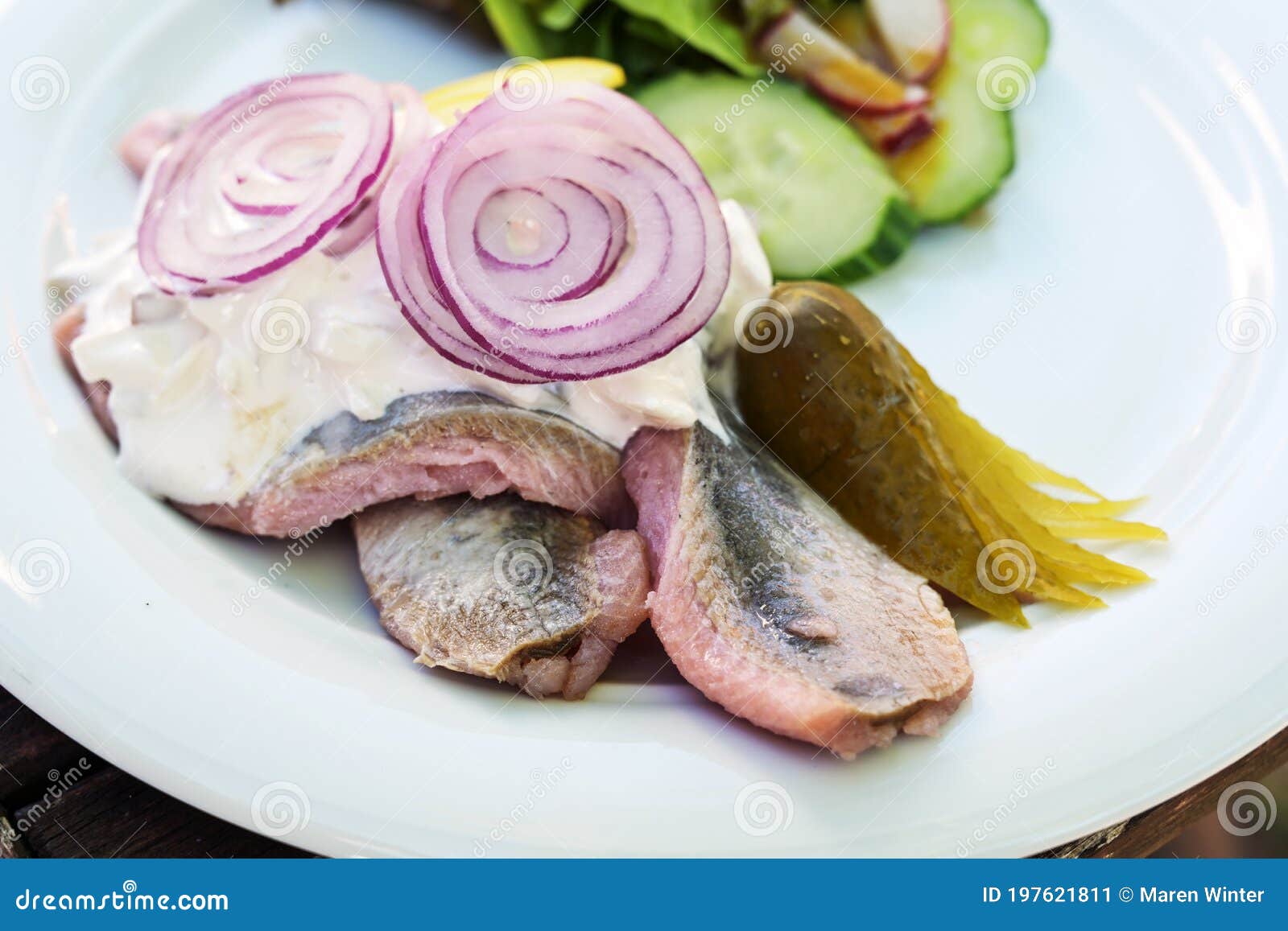 young salted fish called soused or matjes herring with sour cream, gherkin and red onions, served with salad on a white plate,