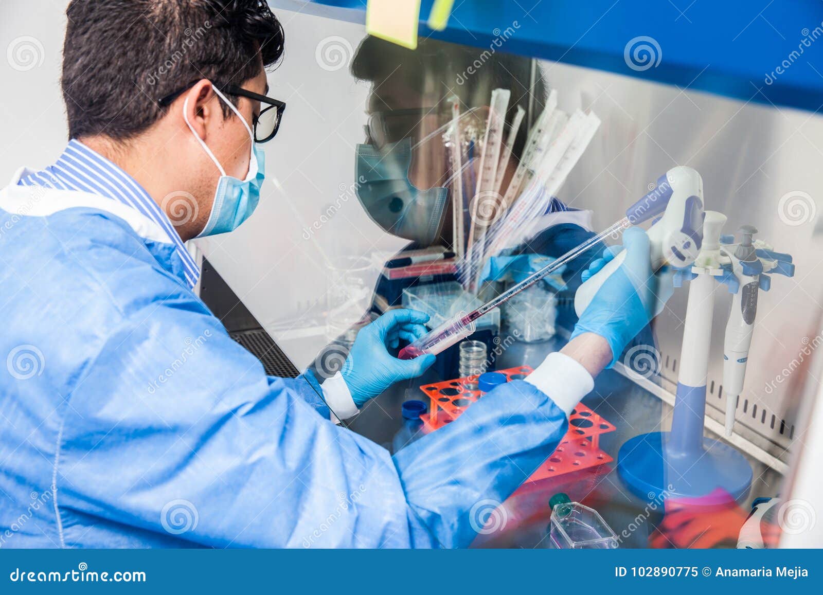 young scientist working in a safety laminar air flow cabinet