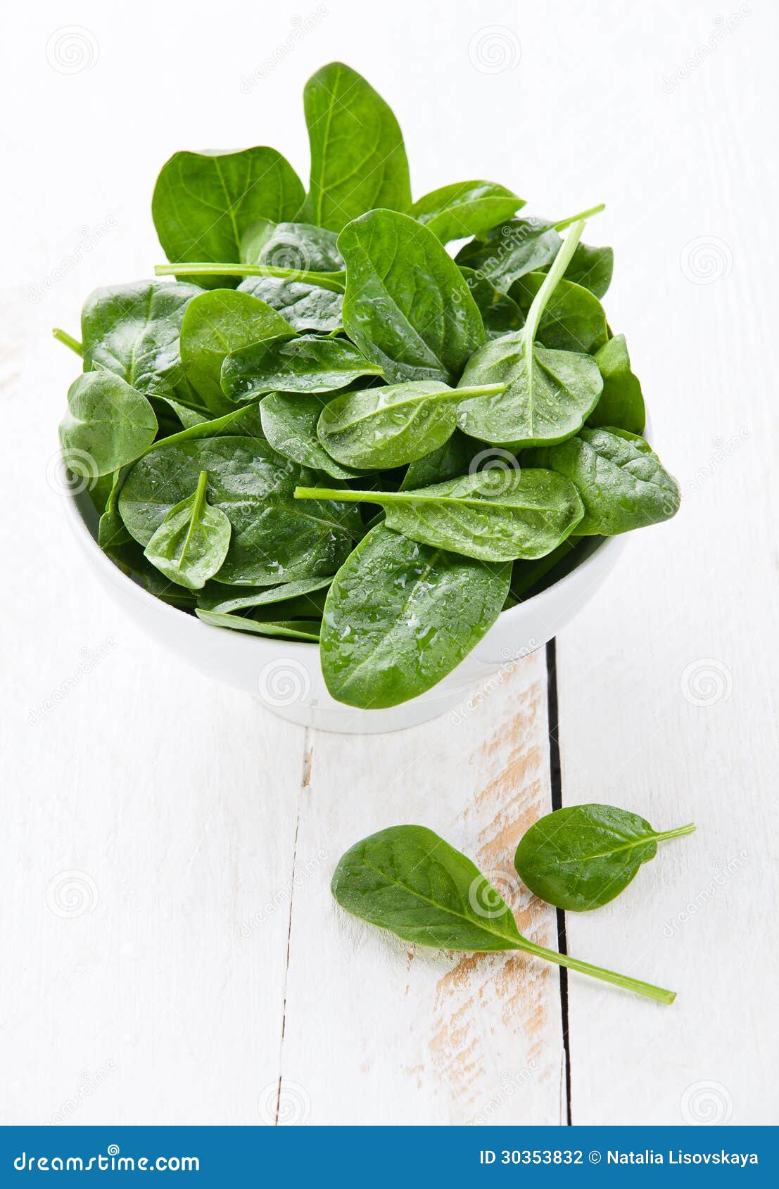Young spinach stock photo. Image of plant, food, vegetarian 30353832