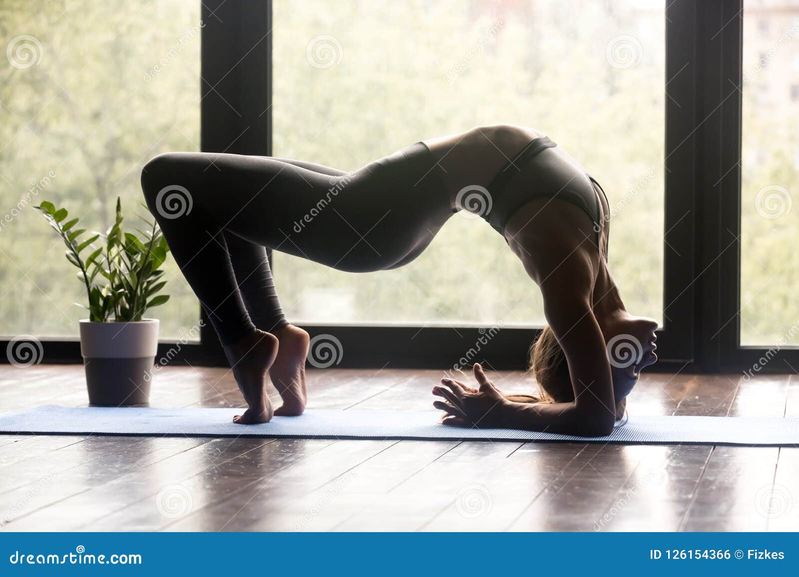 12+ Urdhva Dhanurasana On Elbows Yoga Poses