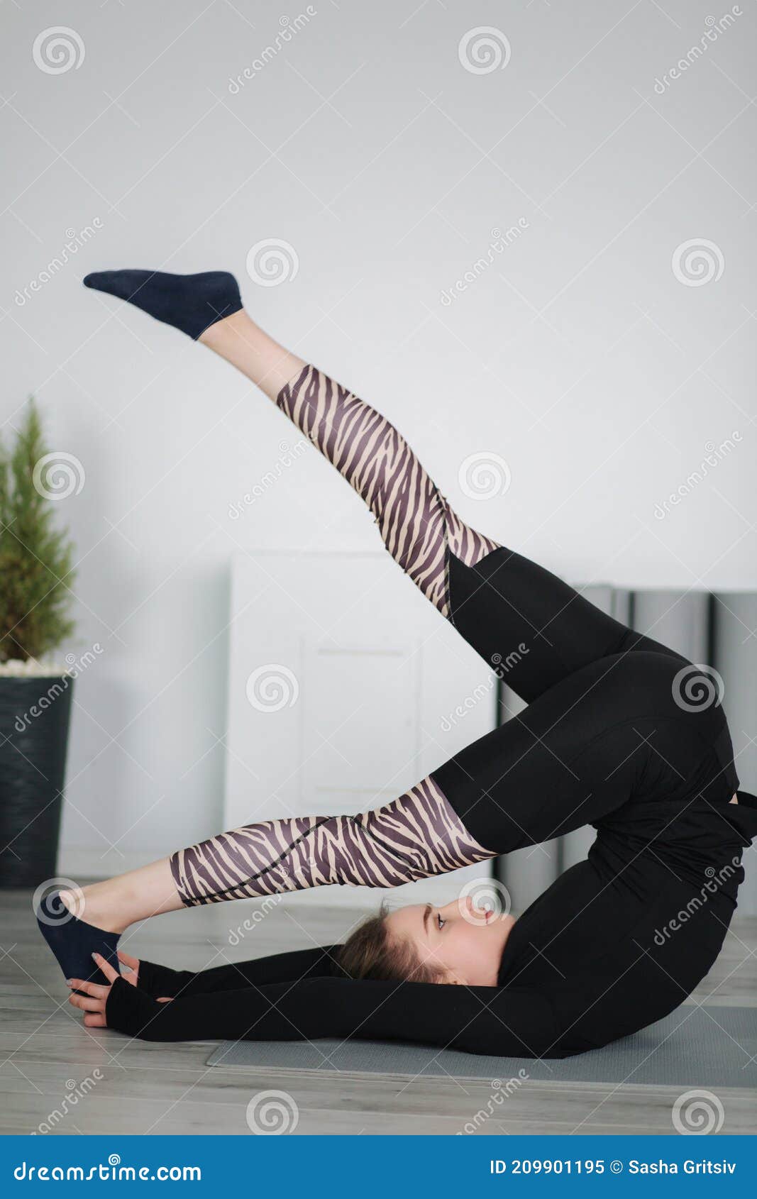 Young Stretching Master Show Differnt Poses for Stretch Stock Image Image of pose, exercise