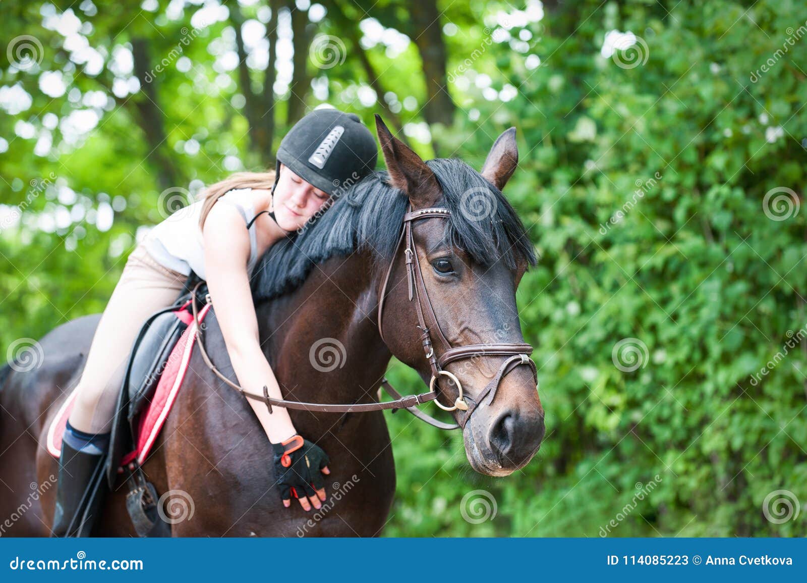 Lovely Girl Frend Stock Photos Free & RoyaltyFree Stock Photos from