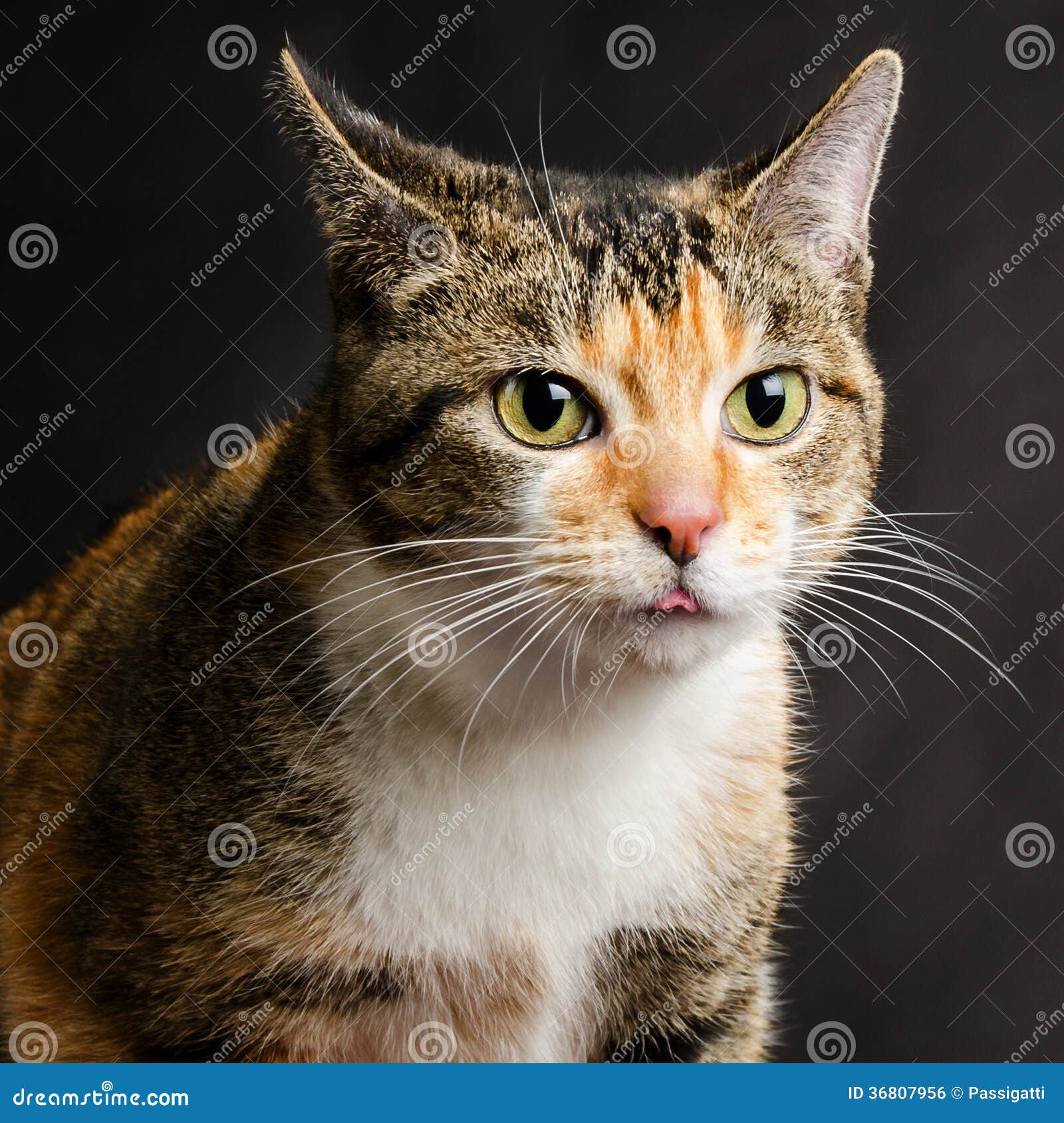 My Image 30