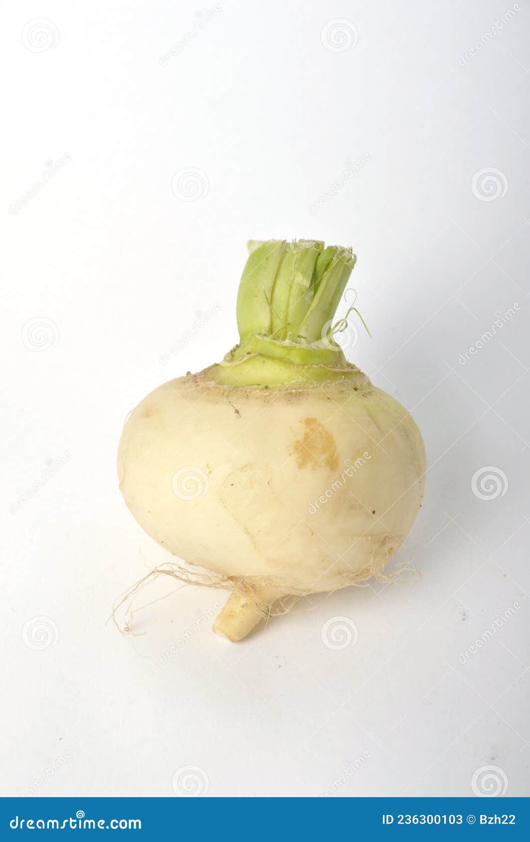 Young Turnips on a White Background Stock Image Image of tasty