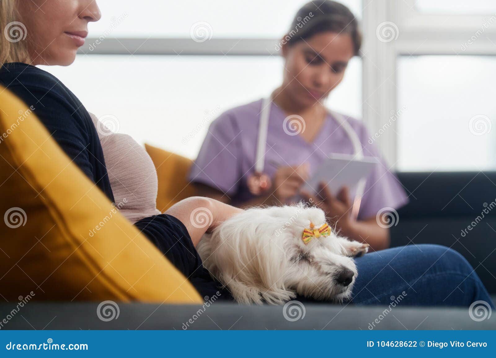 pet doctor at home