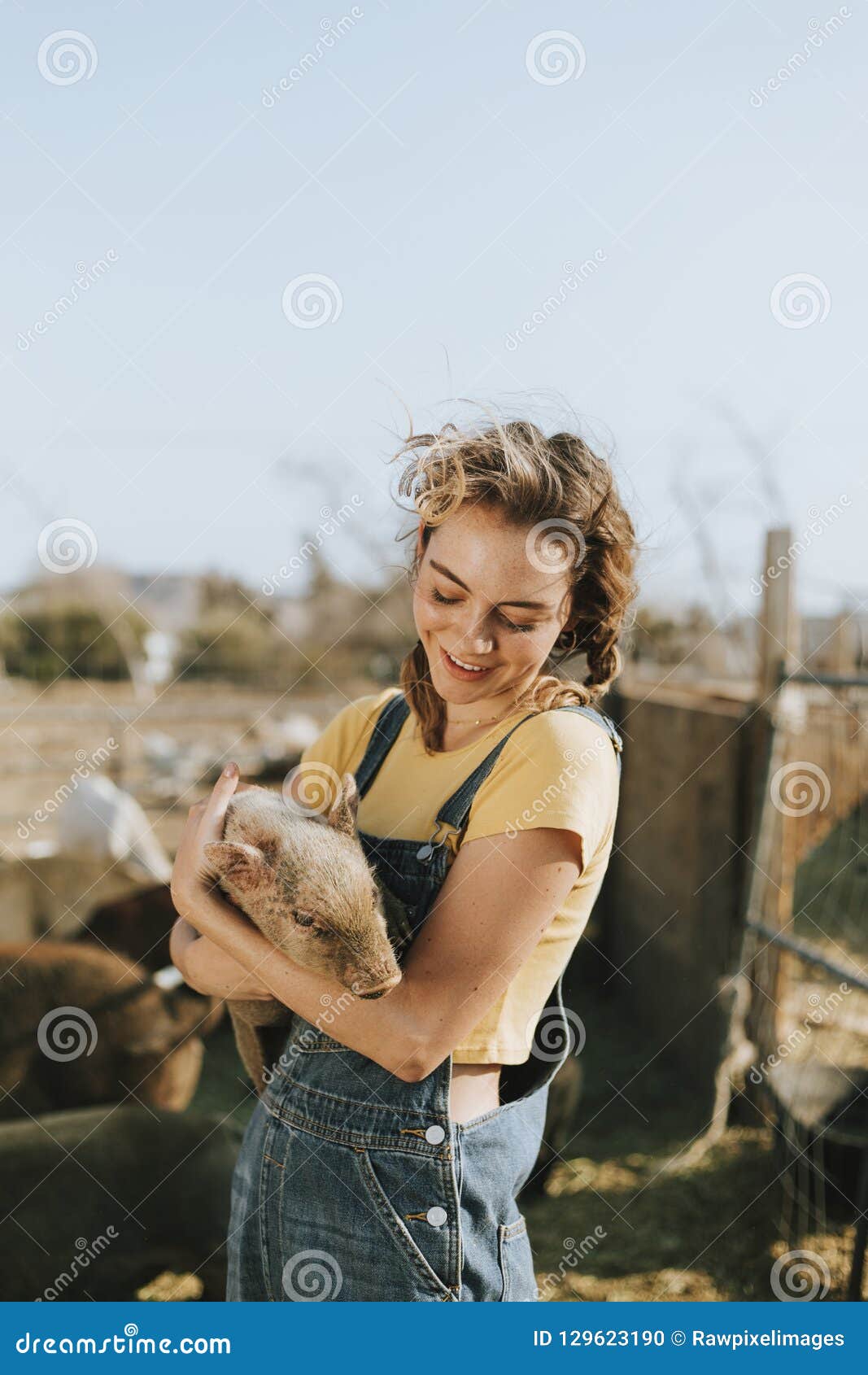 young volunteer with a piglet, the sanctuary at soledad, mojave