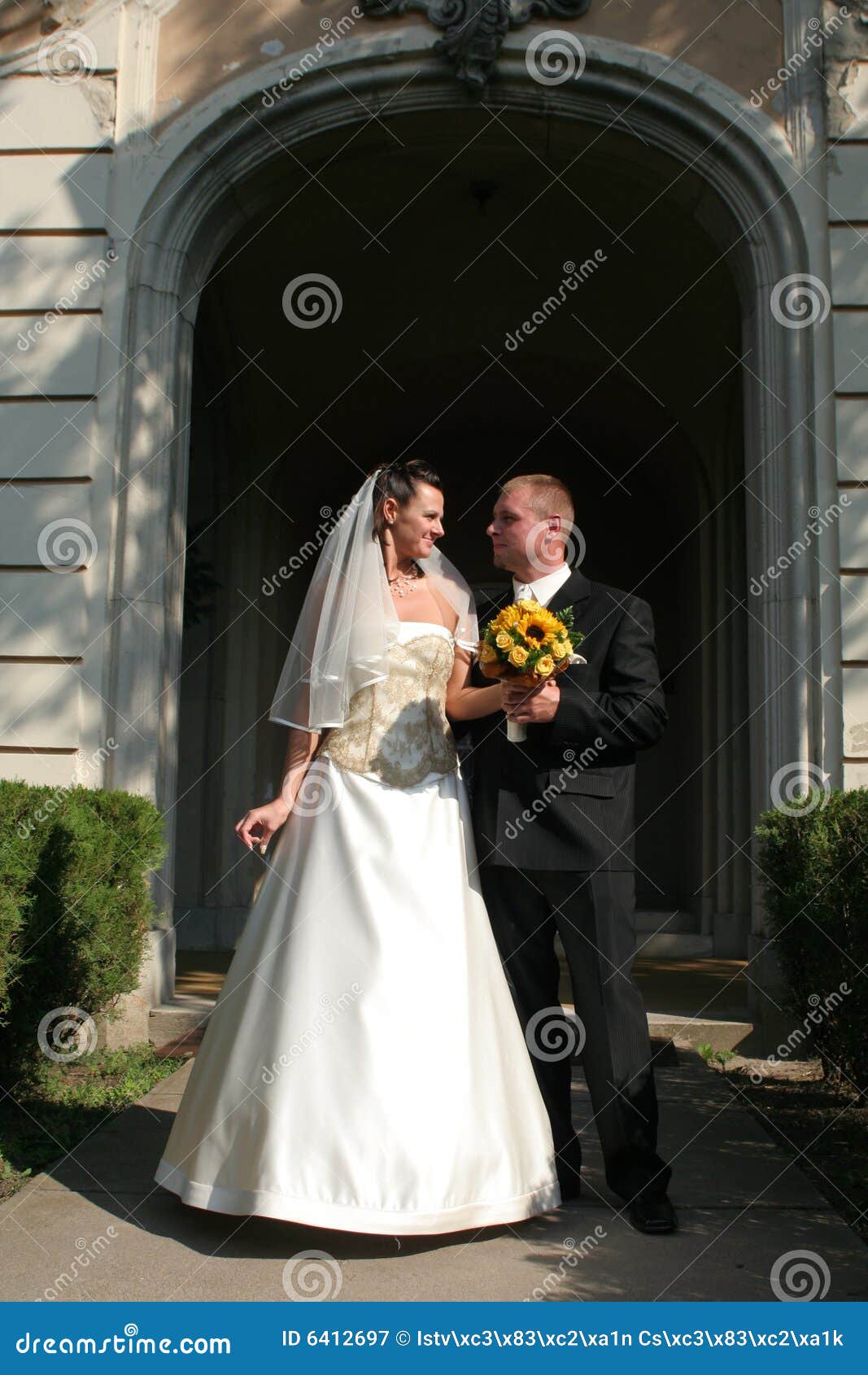 Young wedding couple stock image. Image of party, handsome - 6412697