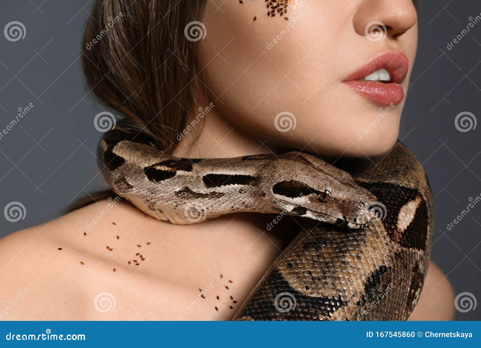 Young Woman with Boa Constrictor on Grey Background Stock Photo - Image ...