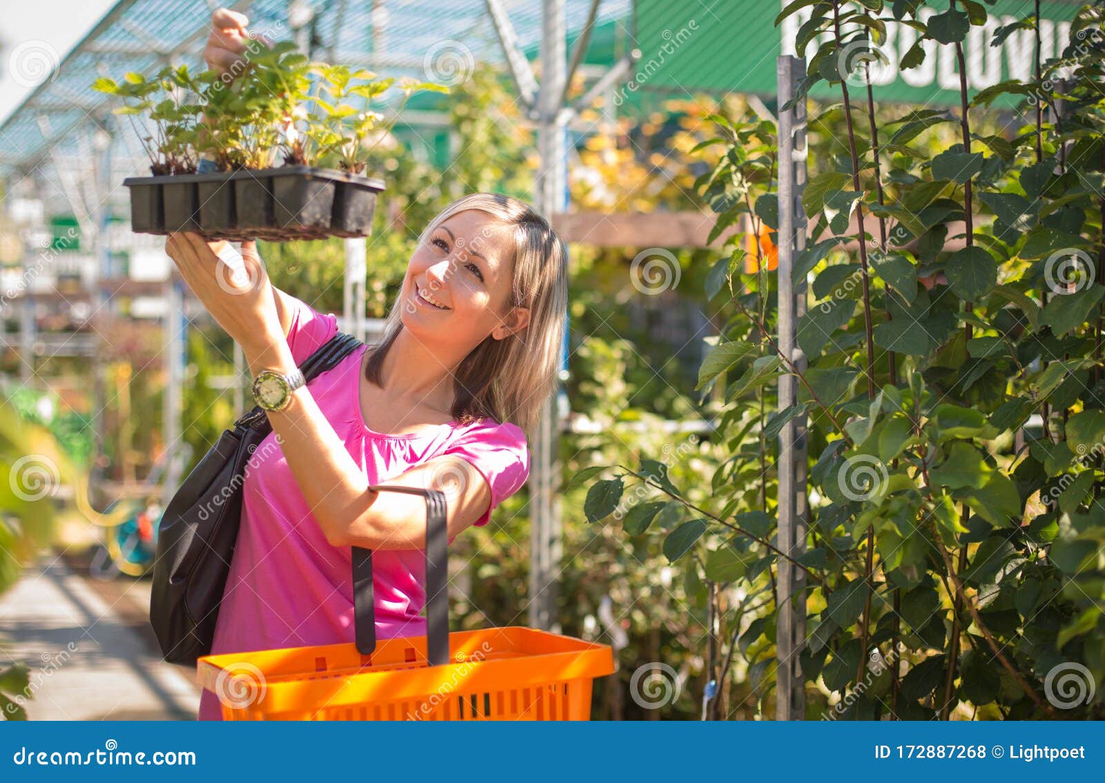 Young woman buying flowers stock photo. Image of florist 172887268