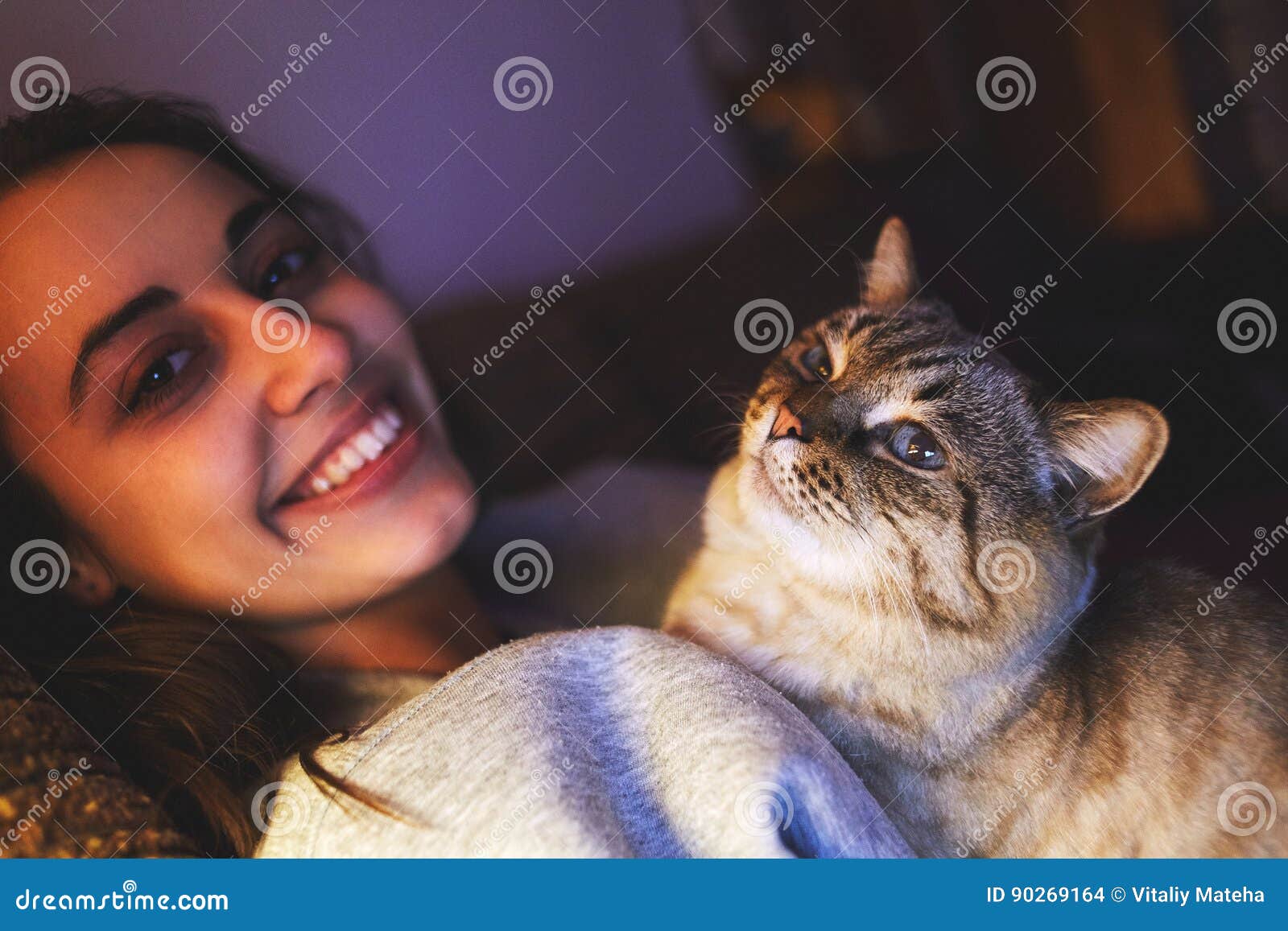 Young Woman with Cat at Evening Stock Photo - Image of people, female ...