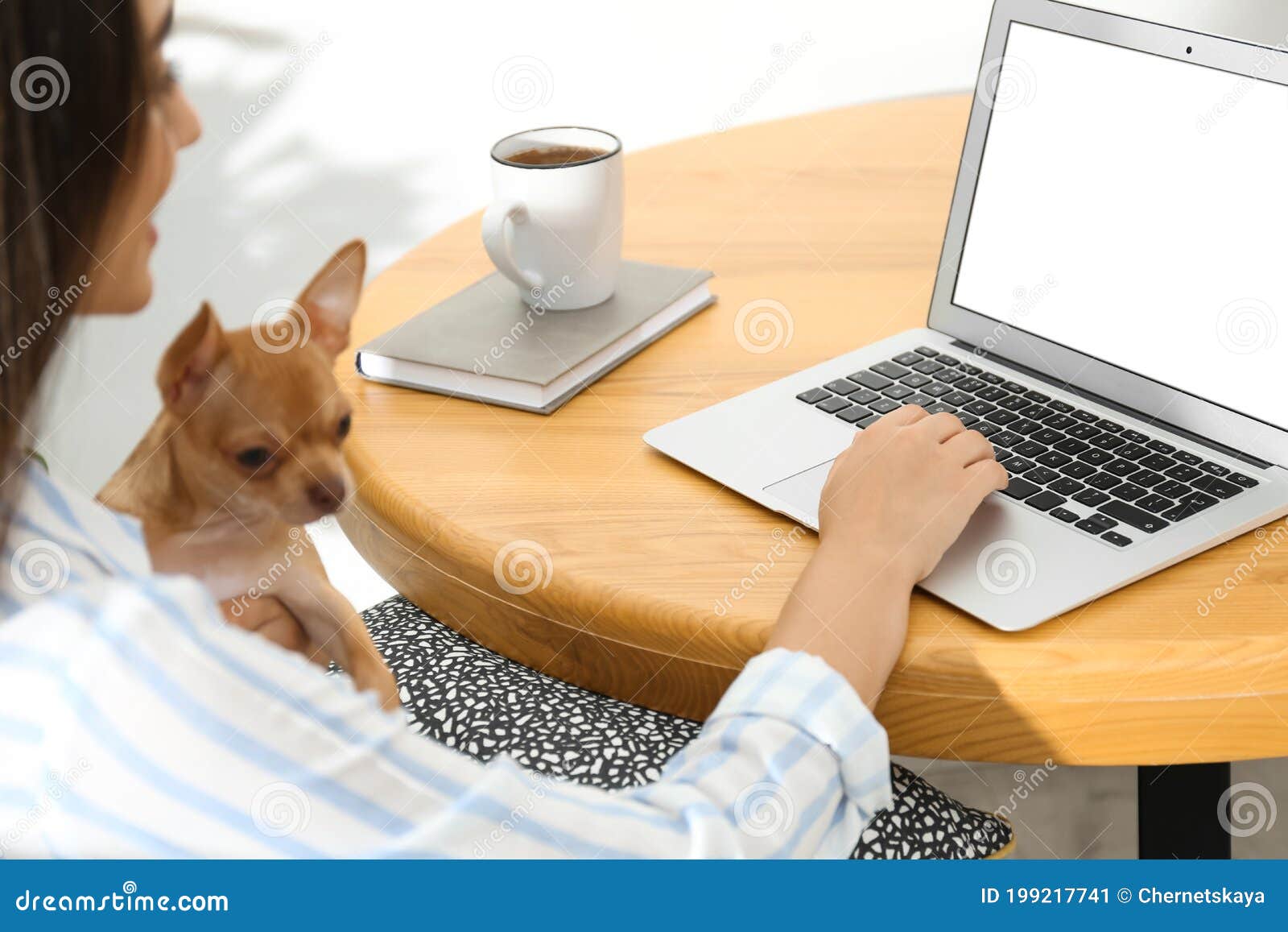 Arriba 42+ imagen home office chihuahua