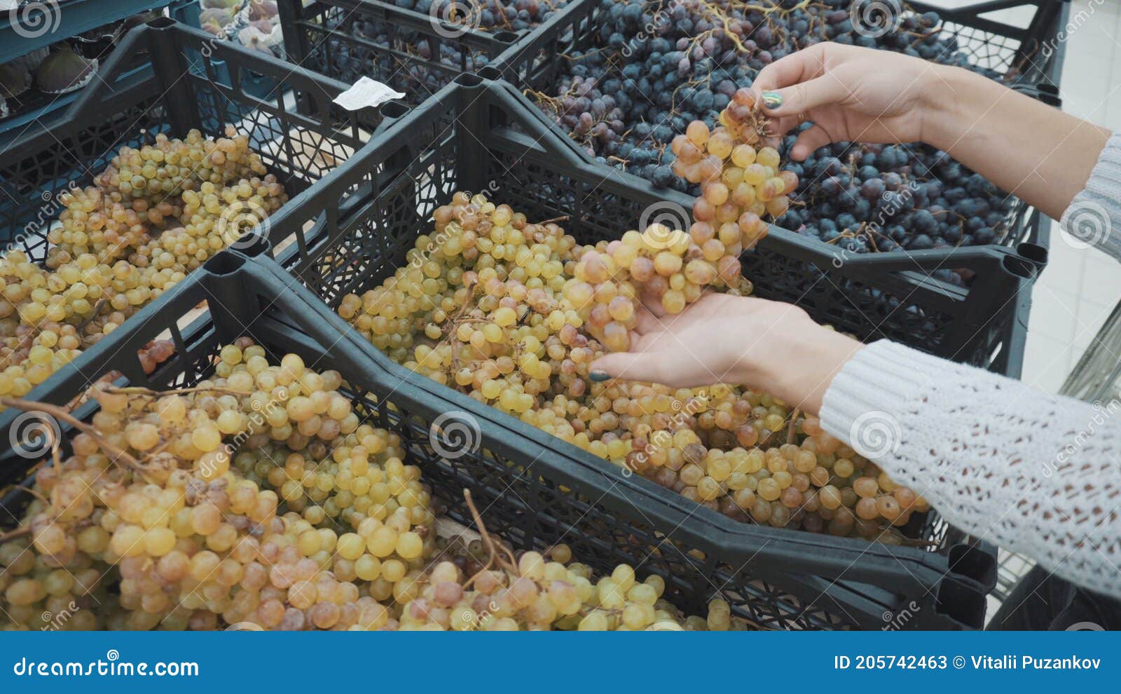 young woman chooses white grapes at the market. girl`s hands close-up.