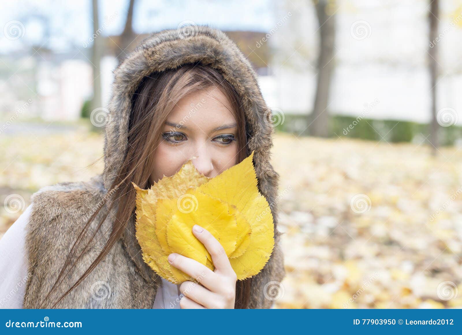 Young Woman Covering Face with Autumn Leaves. Stock Photo - Image of ...