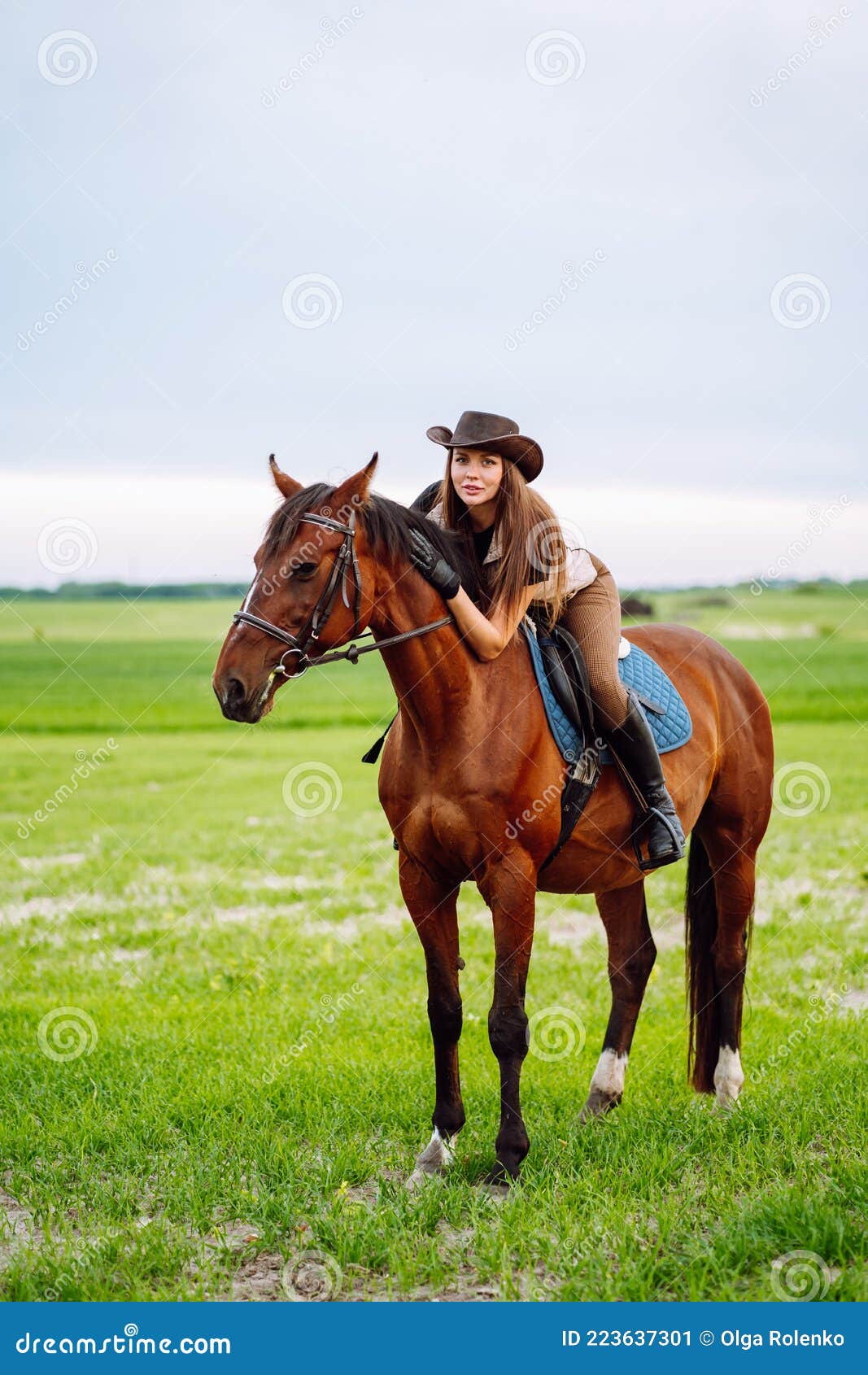 Young Woman Dressed in Riding Clothes and Hat Riding Brown Horse in Green  Field Stock Image - Image of nature, farm: 223637301