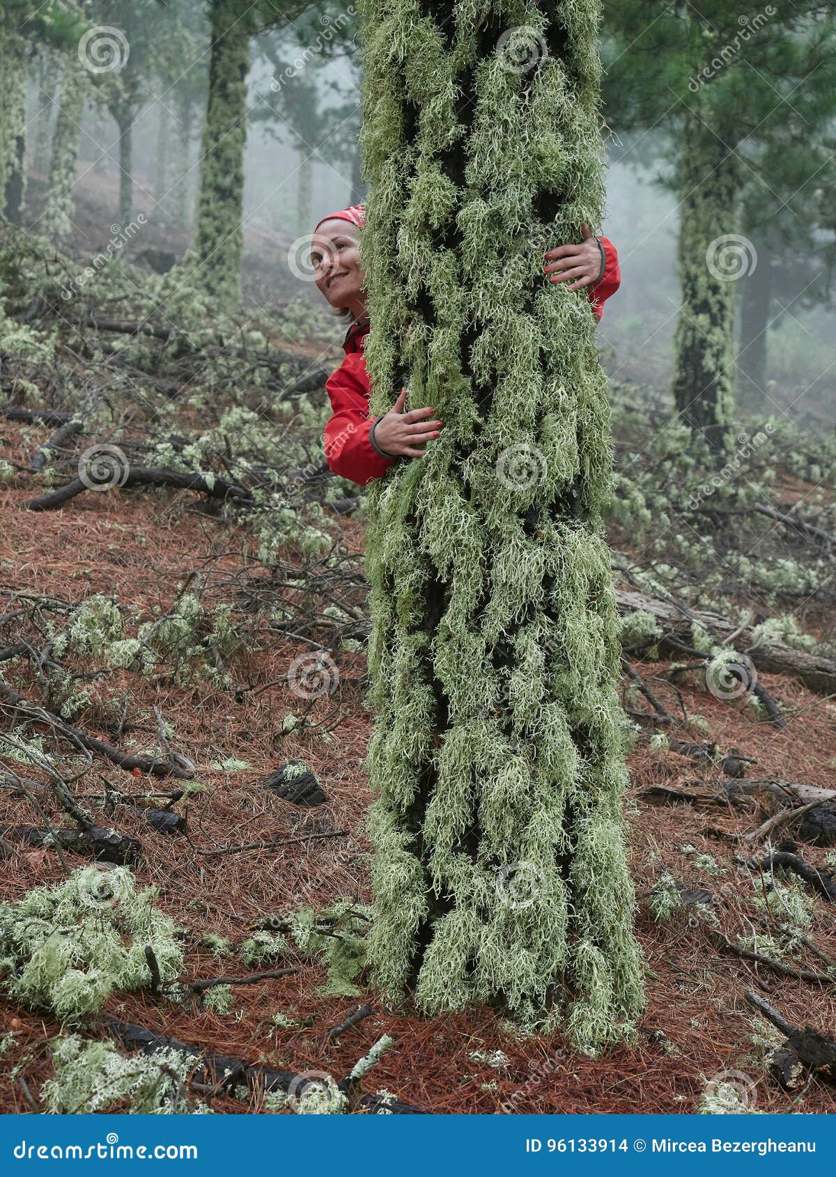 Young Woman Exploring Stunning Autumn Foggy Forest Stock Photo - Image