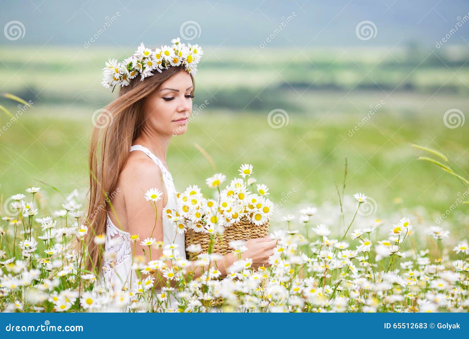 Young Woman in a Field of Blooming Daisies Stock Image - Image of ...