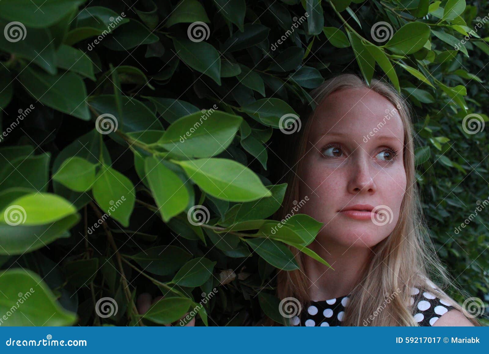 Young Woman 25-30 in the Folliage Stock Image - Image of hair, long ...