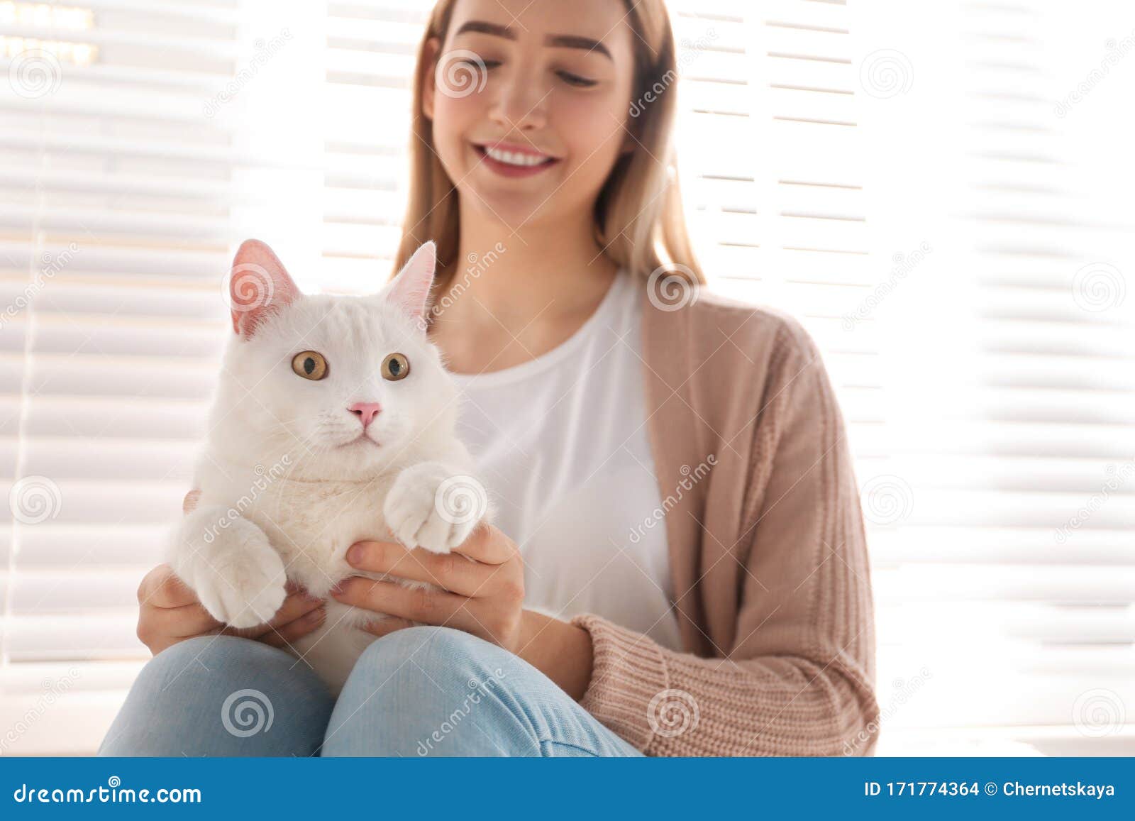 Young Woman with Her Beautiful White Cat. Fluffy Pet Stock Photo ...
