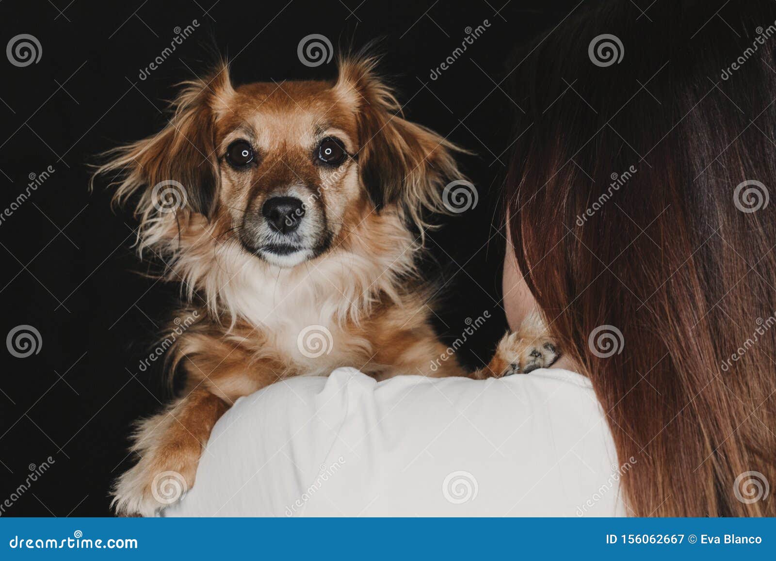 Young Woman and Her Cute Dog. Black Background. Studio Shot Stock Image -  Image of owner, mammal: 156062667