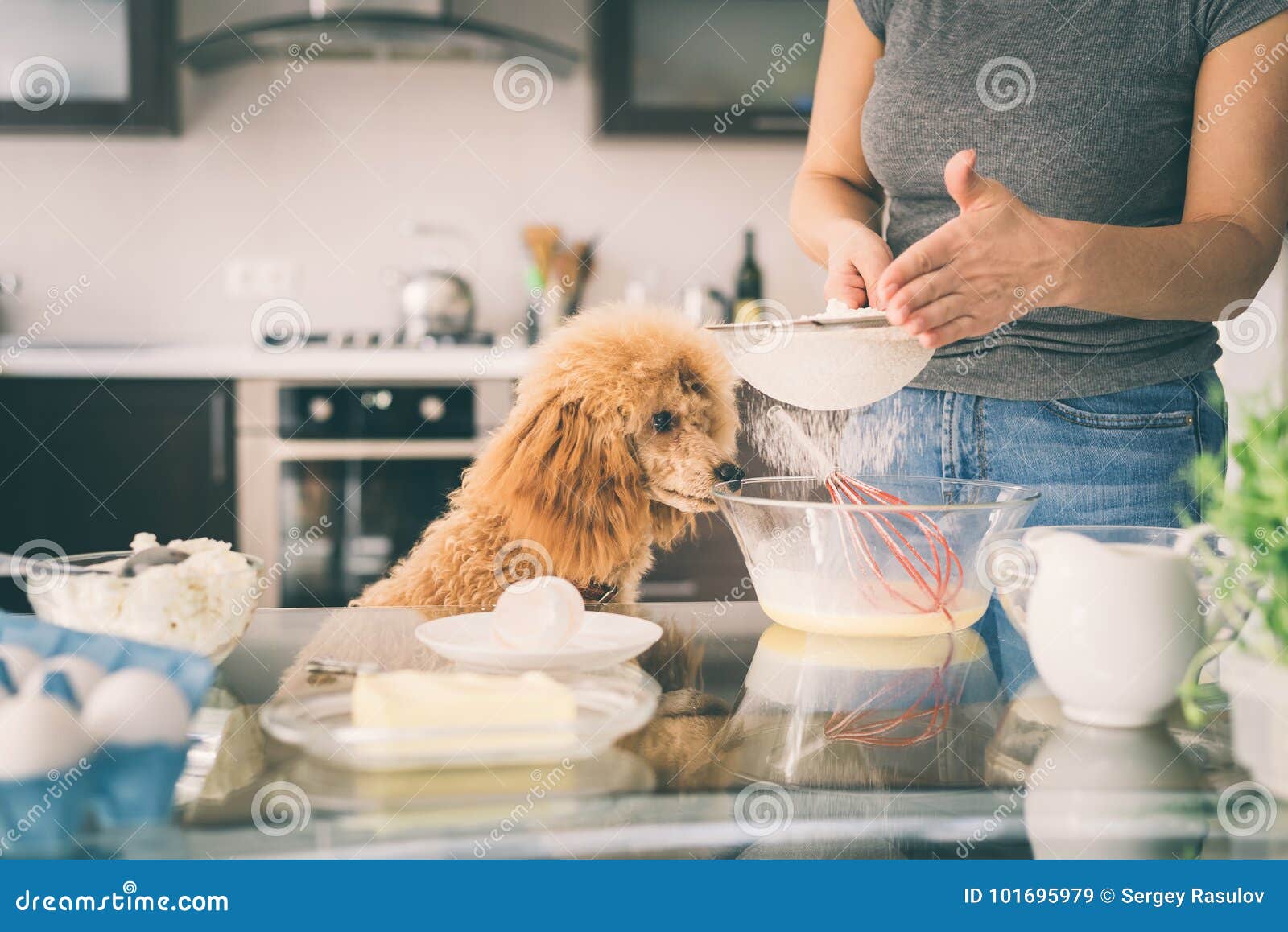 Woman with Her Dog is Making Breakfast . Stock Image Image of