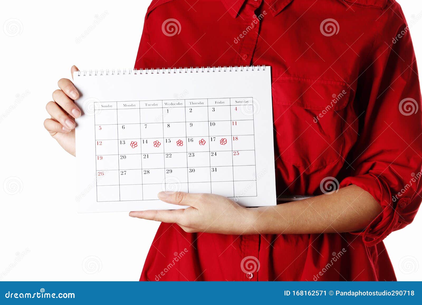 Young Woman Holding Women`s Period Calendar Isolated Stock Image