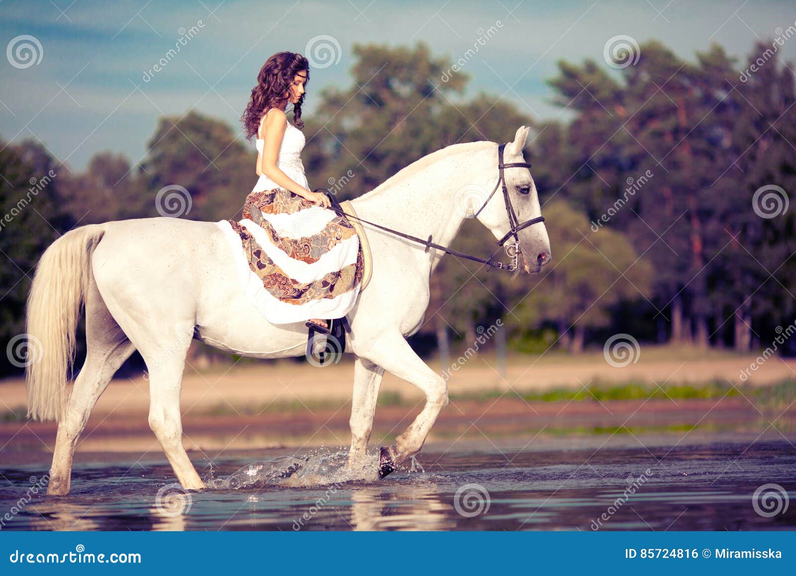 young woman on a horse. horseback rider, woman riding horse on b