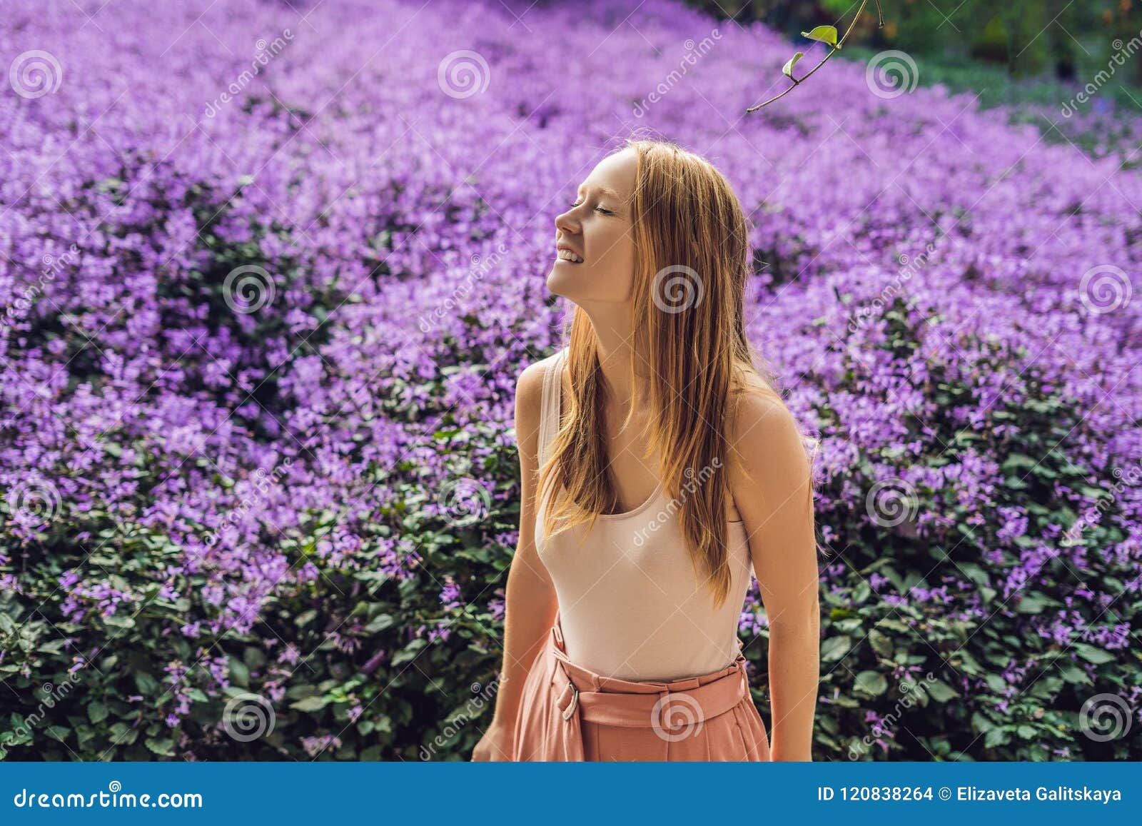 Young Woman on Lavender Field. Lavender Farm Concept Stock Photo ...