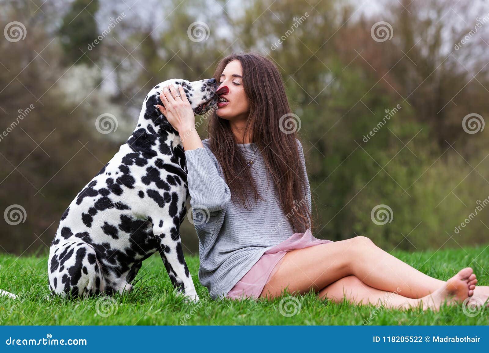 Young Woman Licked In The Face By An Dalmatian Dog Stock Photo Image young-woman-licked-in-the-face-by-an-dalmatian-dog-stock-photo-image