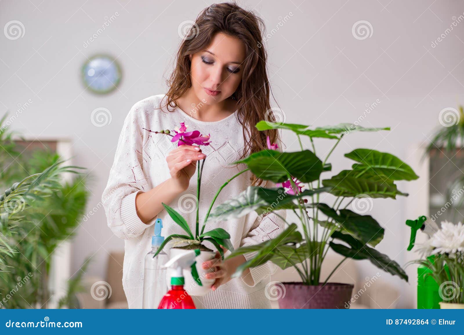 The Young Woman Looking after Plants at Home Stock Photo Image of