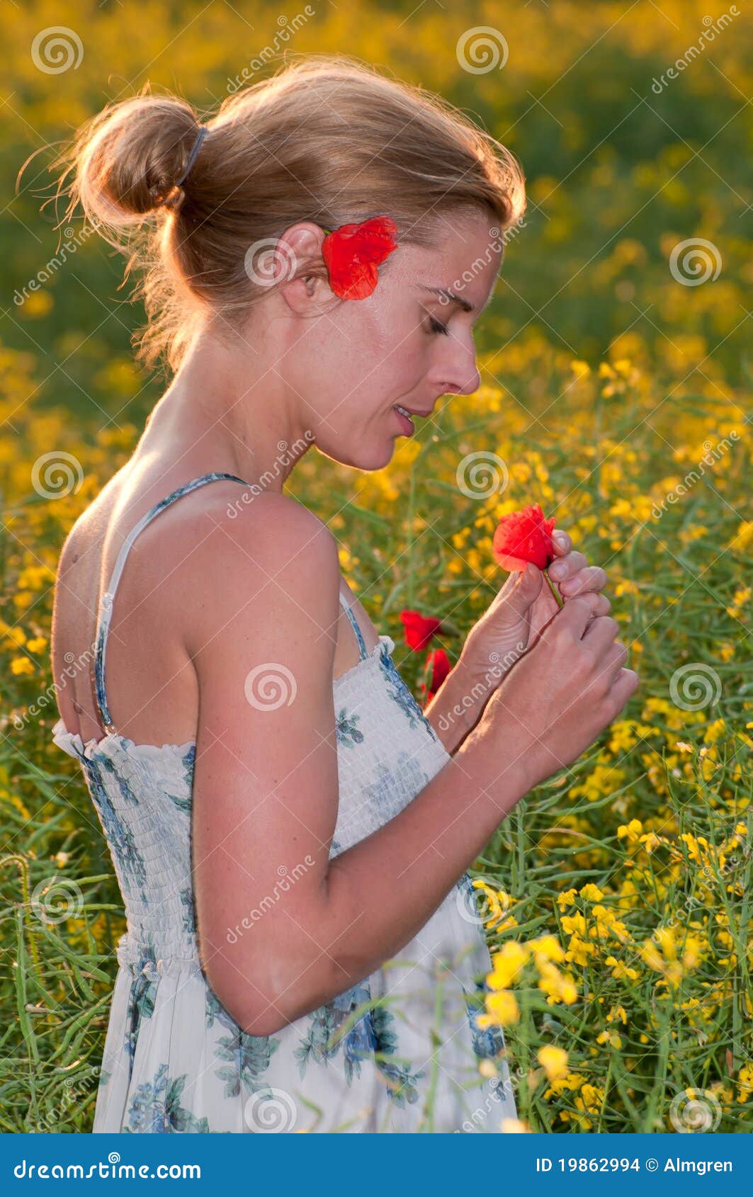 Young Woman Picking Flowers Stock Photo Image of canola, nature 19862994