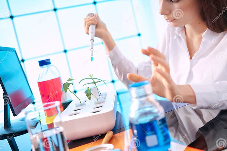 Young Woman with a Pipette in a Plant Laboratory. Study of the Effect