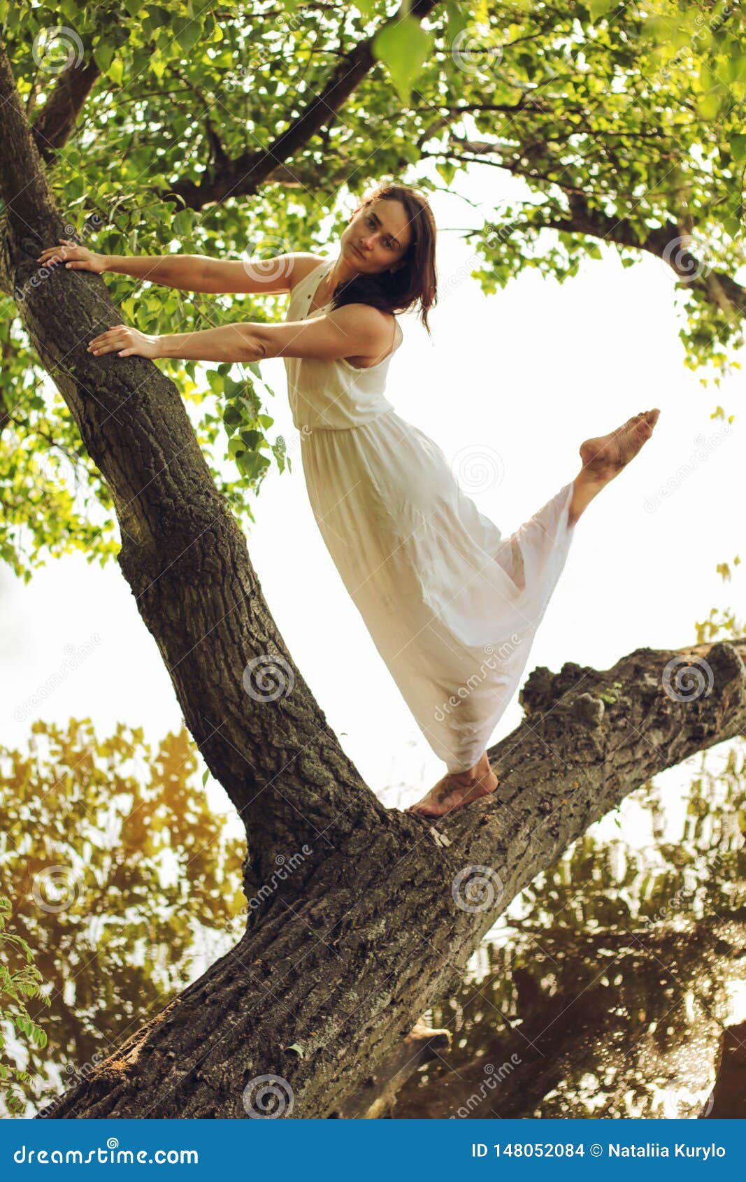 HD wallpaper: Woman Posing Near Tree, adult, beautiful, beauty, dress,  fashion | Wallpaper Flare