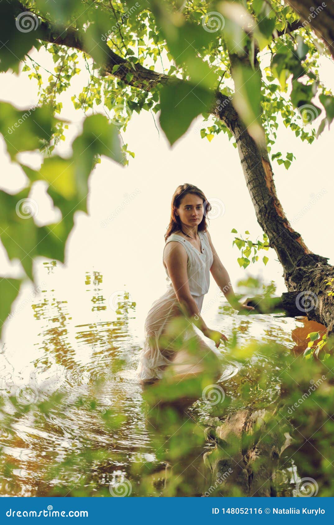 Happy Beautiful Pregnant Woman In Dress Poses Near Tree In Sunny Park Stock  Photo, Picture and Royalty Free Image. Image 70732778.