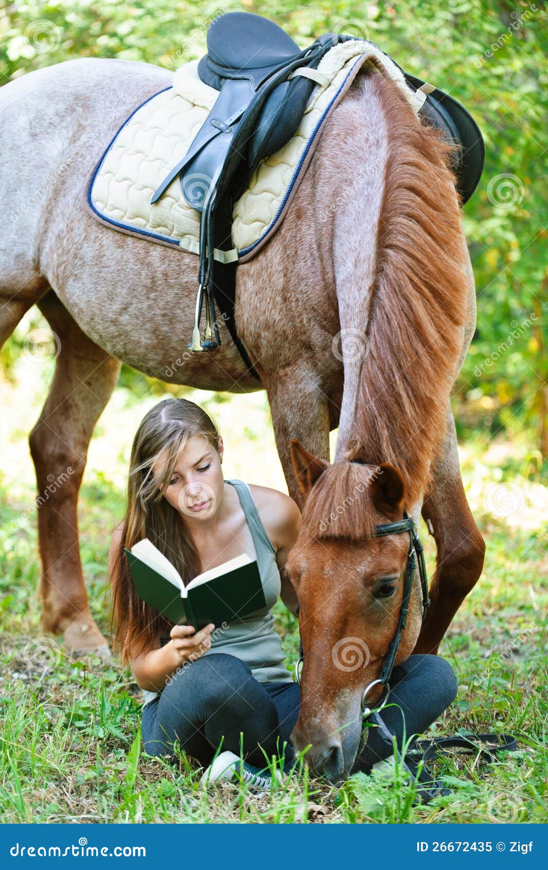 Young Woman Reading Book With Horse Royalty Free Stock Photo Image