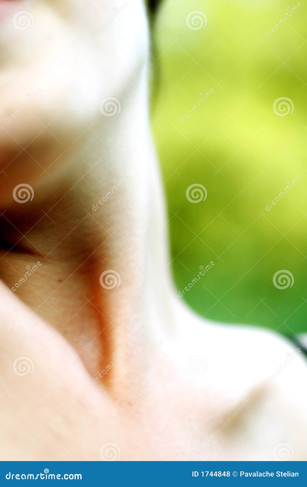 Young Woman s Neck stock photo. Image of casual, teen 1744848