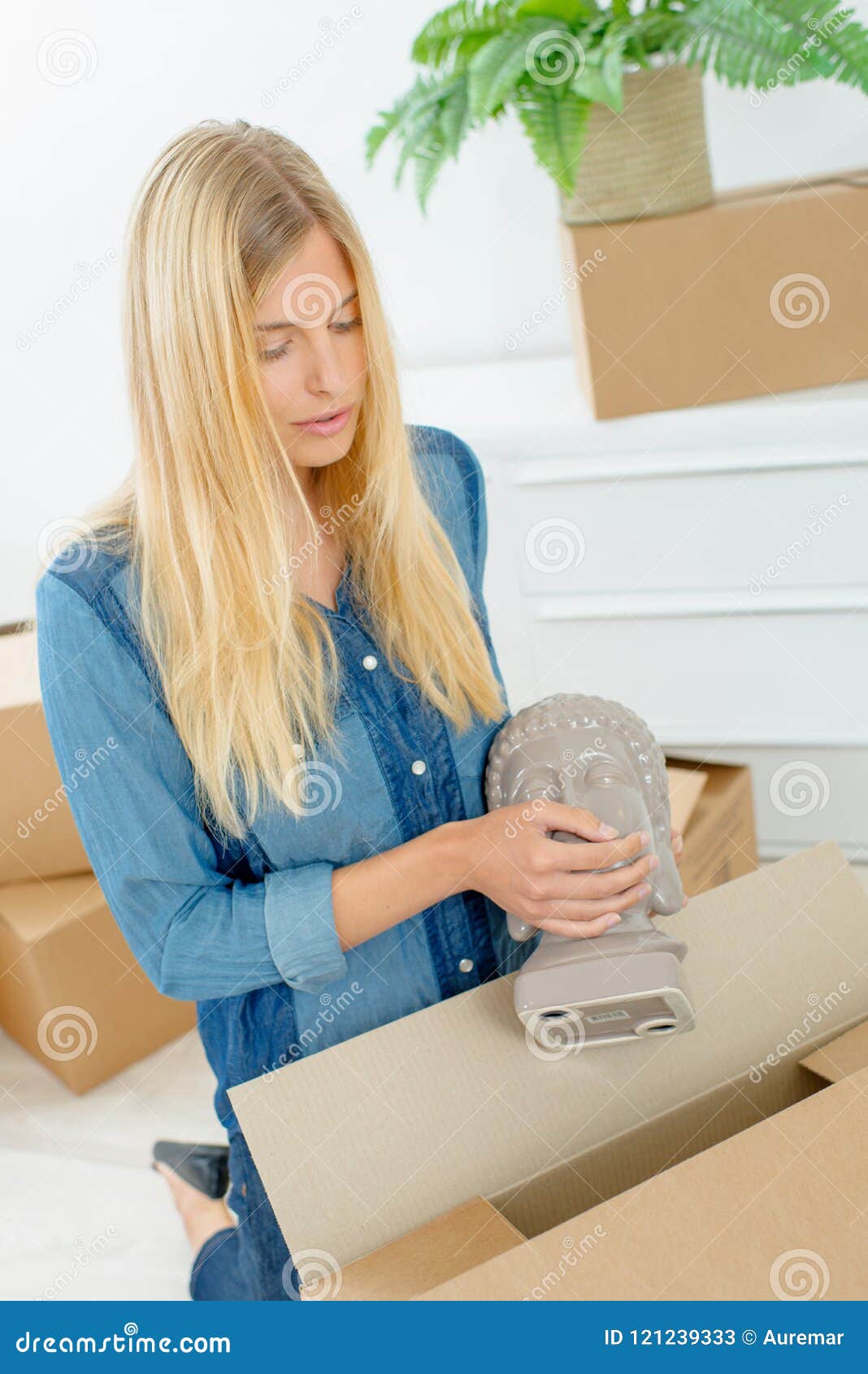 Young Woman with Sculpted Head Stock Image Image of unpacking, person