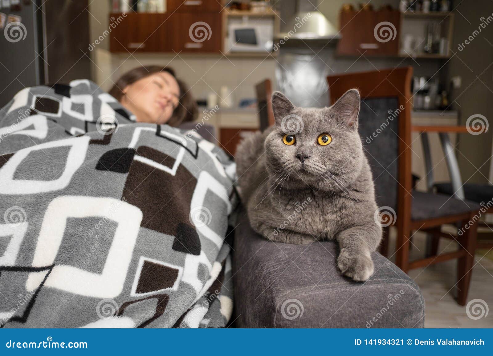 A Cat Sleeping Next To A Girl Free Download Vector Psd And Stock Image