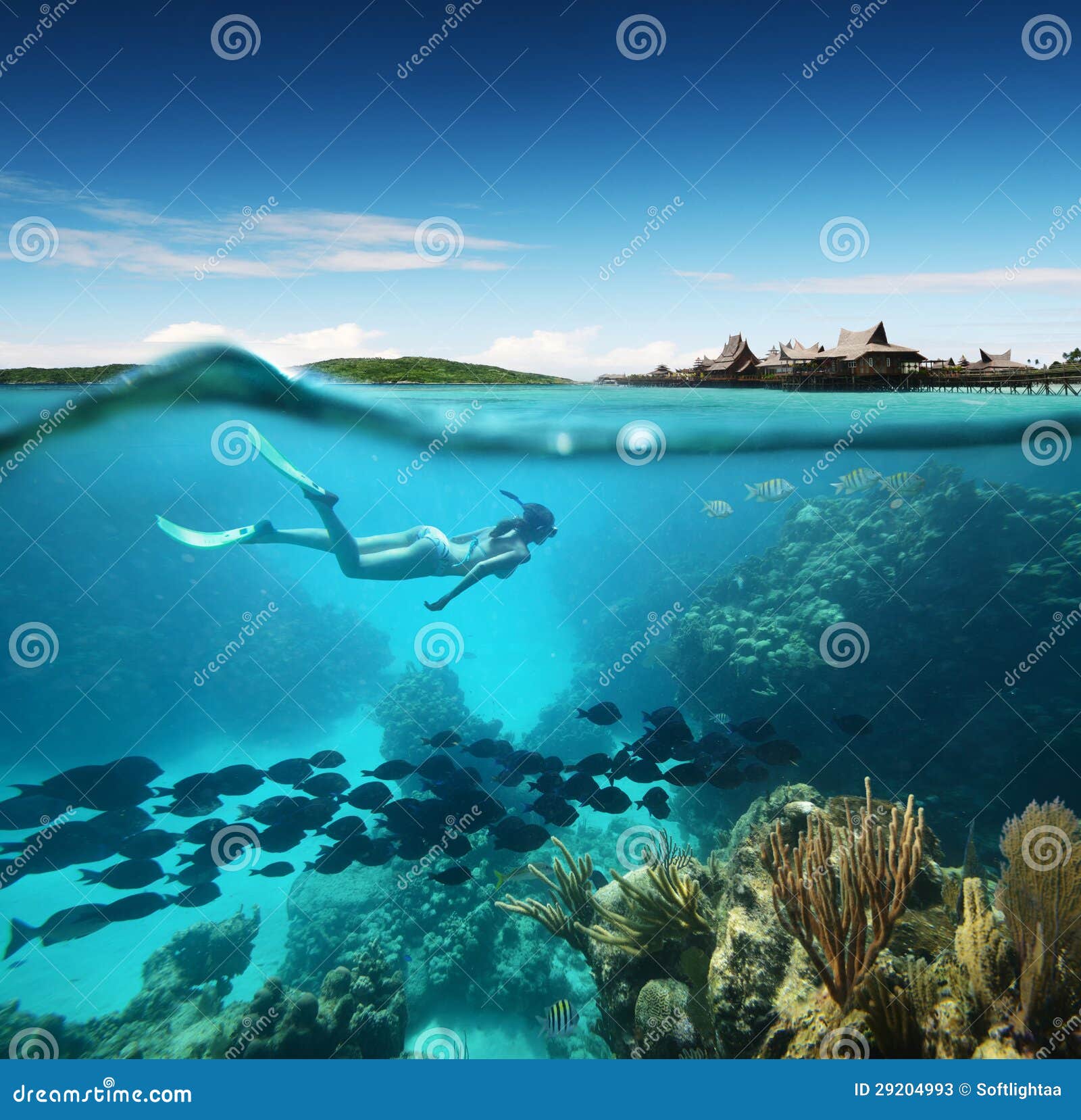 young woman snorkeling in the coral reef in the tropical sea