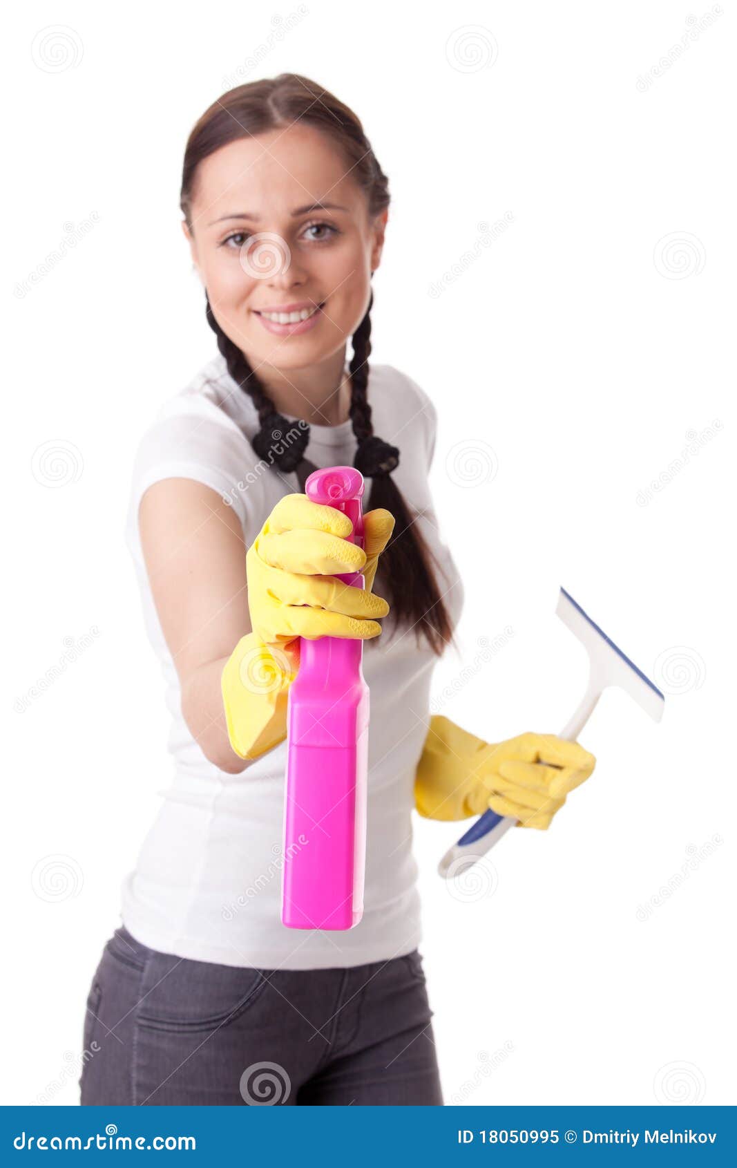 Young Woman with Spray Bottle and Brush Stock Image Image of