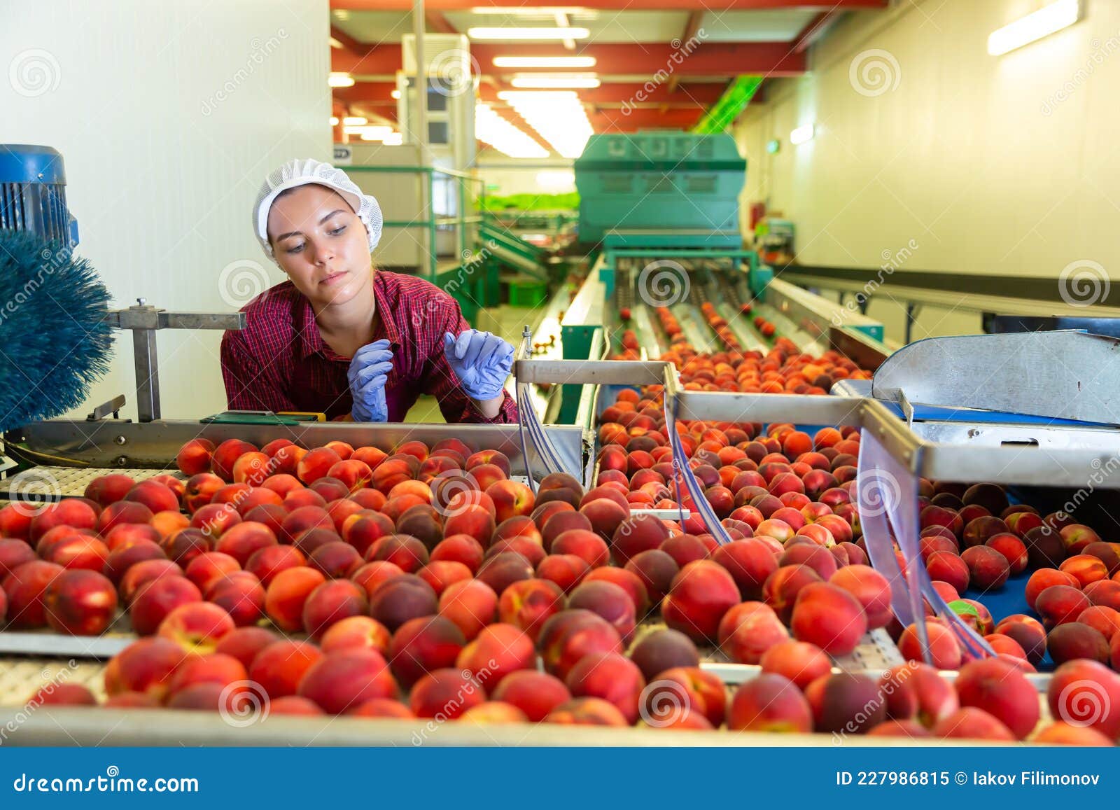 Young Woman Standing beside Conveyor Stock Image - Image of storehouse ...