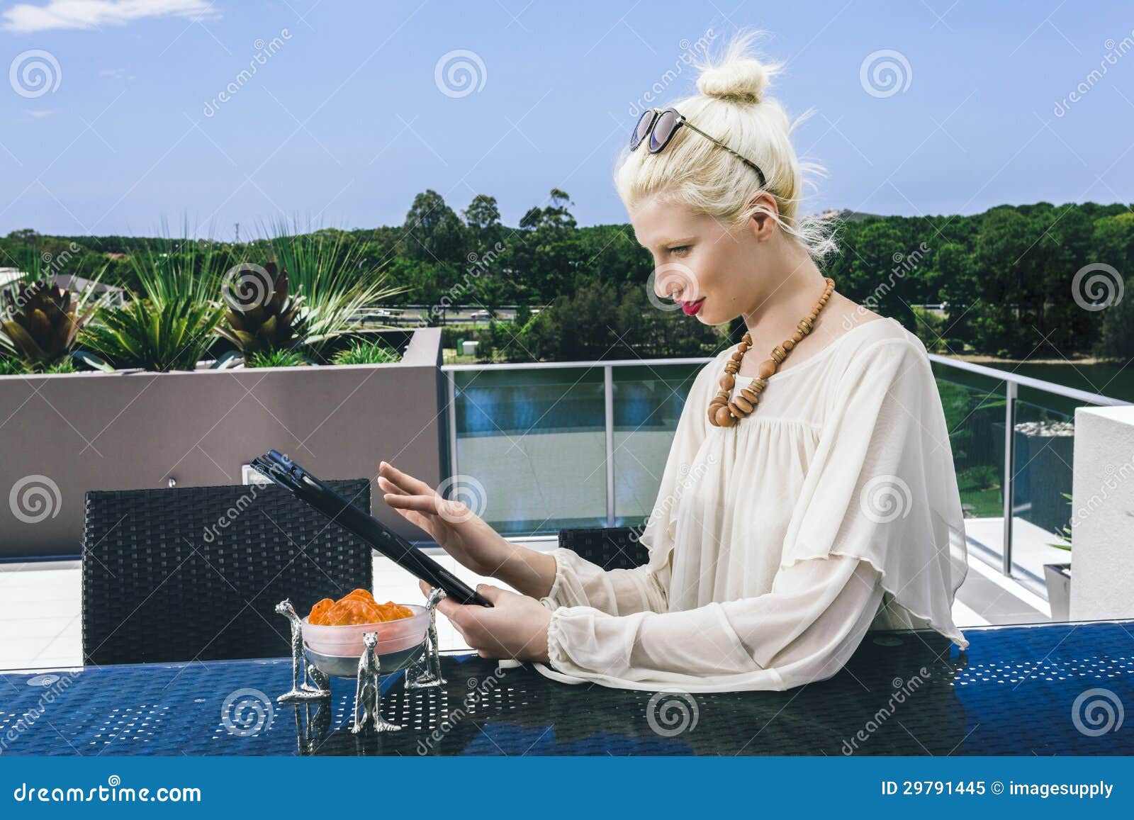 Woman surfing the net stock image. Image of caucasian - 29791445