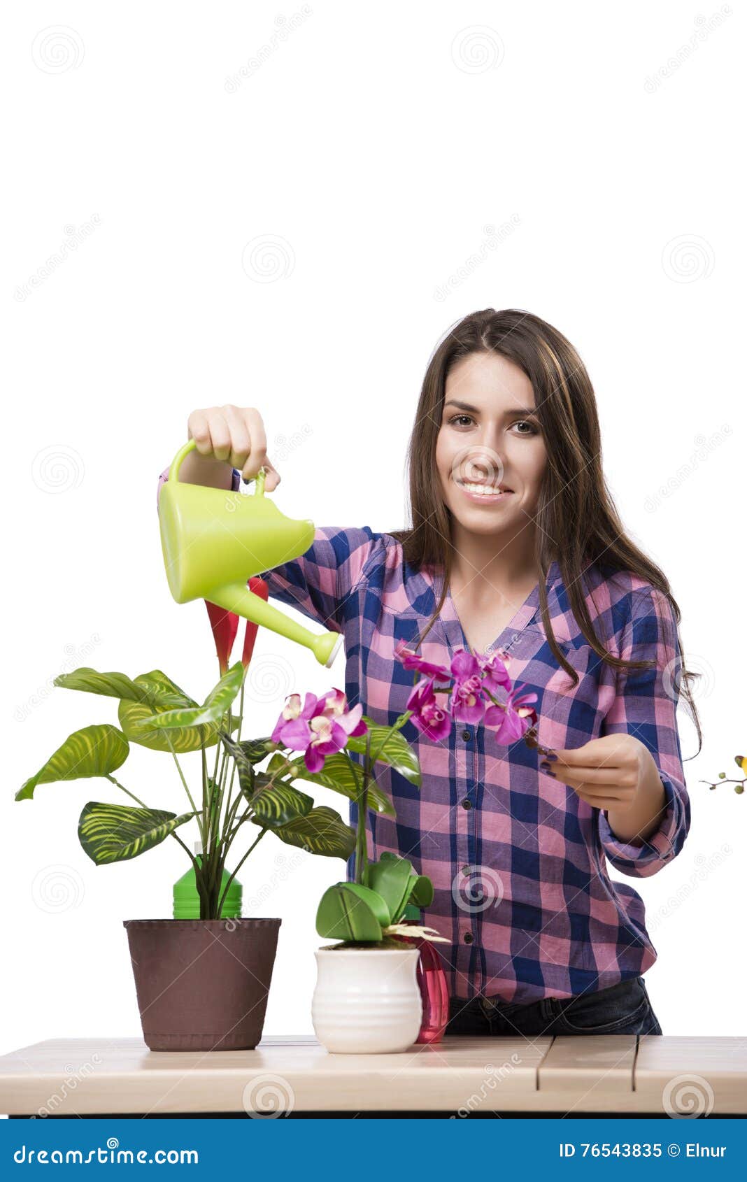 The Young Woman Taking Care of Home Plants Stock Image Image of hobby