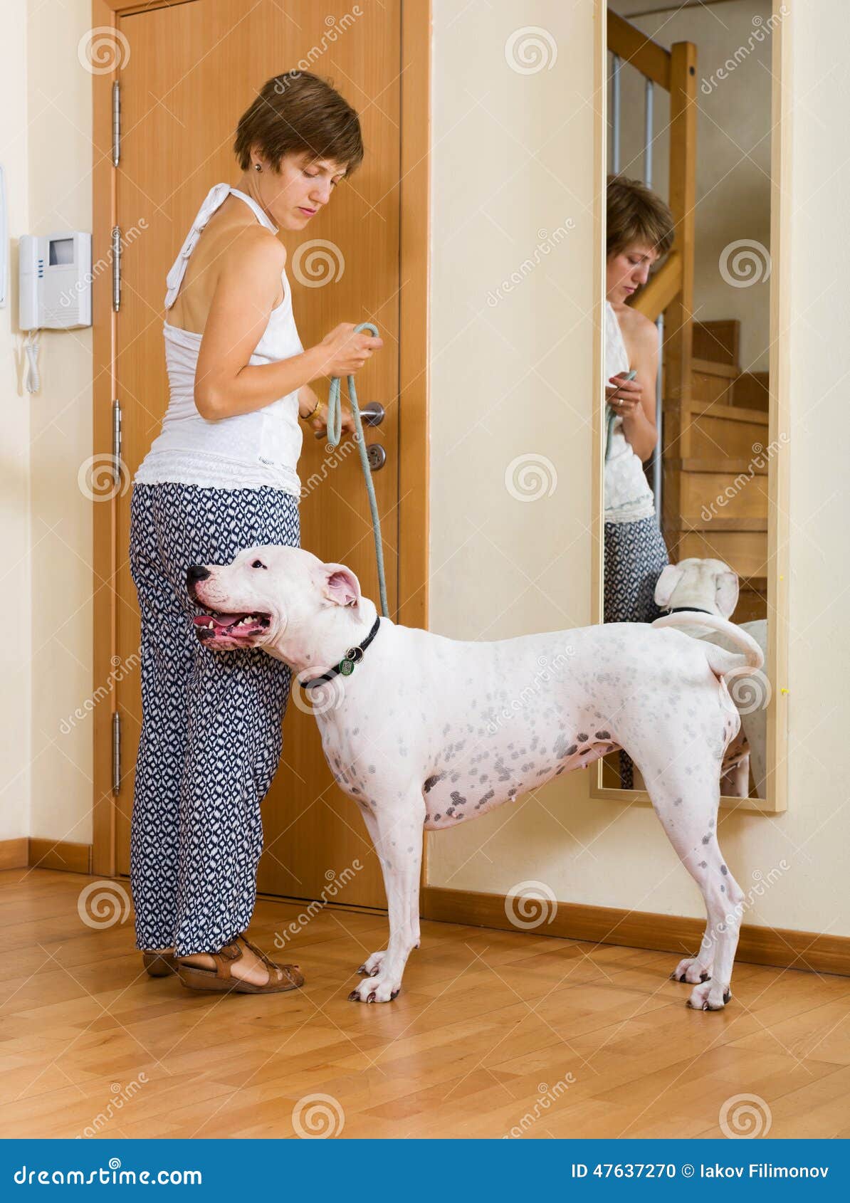 Young Woman Taking Dog for a Walk Stock Photo - Image of dogo, home
